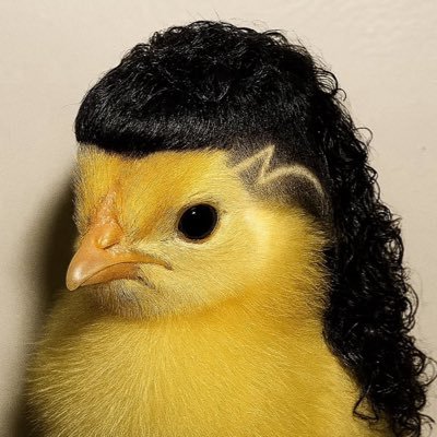 eeseewey's profile picture. 🫡