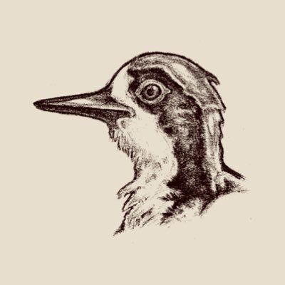 melanerpes are a genus of new world woodpeckers 🏳️⚧️