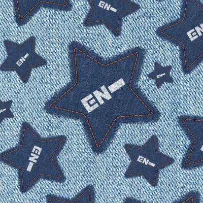 Echoes and Flashover enthusiast // queer demirose pan ENGENE // drama free OT7 // ENHYPEN support and fan account
