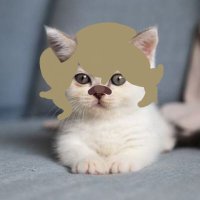 🍀Drew(。•̀ᴗ-)★ (@oo4dek) 's Twitter Profile