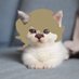 🍀Drew(。•̀ᴗ-)★ (@oo4dek) Twitter profile photo 🍀Drew(。•̀ᴗ-)★ (@oo4dek) Twitter profile photo