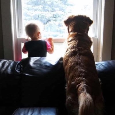 DaysFan28 Profile