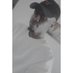 Brayoo_The_Great (@josephbria24557) Twitter profile photo Brayoo_The_Great (@josephbria24557) Twitter profile photo