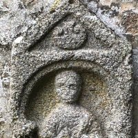 petit curieux (@h13845hg) 's Twitter Profile