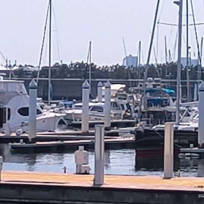 ZYuY1ZKL6B5HMSi's profile picture. 