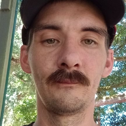 StephenBin32955's profile picture. 