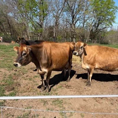 conservative about everything, question everything, family is important, farm life is great, love my dairy cows, FF/paramedic