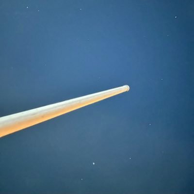 allenbaby22b's profile picture. #unbuttoned #allenbaby22
#成人內容未滿十八請勿追蹤