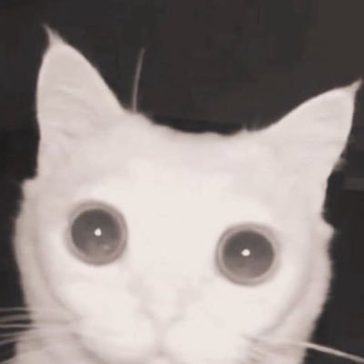 Fenさんのプロフィール画像