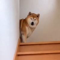 HA$$Y (@laid_ba9) 's Twitter Profile Photo