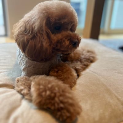 ageha04101828's profile picture. FX でお小遣い稼ぎ✨ドル円のみで目標100万円💴 いつかFXで1000万にしたい✊✊✊スキャメインたまにデイトレ(スキャ失敗で)