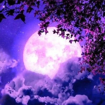 Black_Luna1317's profile picture. 20 years old she/her