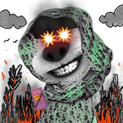 $SOL & $BTC zooted mfer 👽 | Exploring the degeneracy on-chain 💥