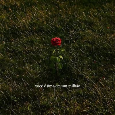 dbarcelosp's profile picture. .