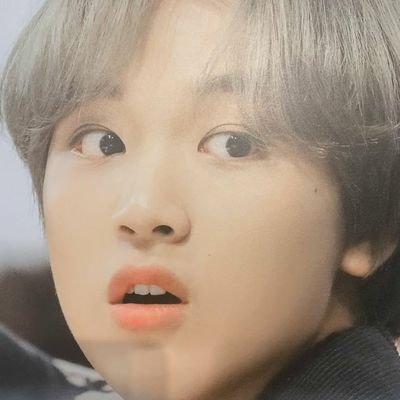 mahae 🐯🐻 || akun ini punya 1001 cara untuk babying haechan || i'm ready for HOMO (holo molo) — use block chain.