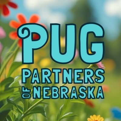 Pug Partners of Nebraska is a 501c3, non-profit organization comprised of dedicated volunteers who are committed to rescuing and re-homing pugs in need.