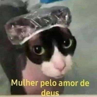 #fanaccount
#escorpianja 🔥😏
#blink🤞🛐
lutando e sorrindo todos os dias 💜💜💜