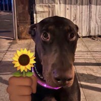 LL (@ll4822553085965) 's Twitter Profile Photo LL (@ll4822553085965) 's Twitter Profile Photo