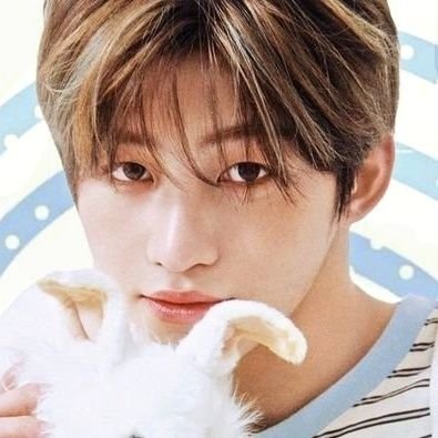 haepnyangi's profile picture. i like kitties and the sea and sparkles and jellyfish