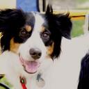 John Diaz - @johndiaz00 - Twitter