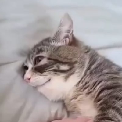 @luke_goji