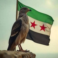 Abdo Hamwi (@abdo72075) 's Twitter Profile