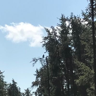 BrainwaveKaren's profile picture. 