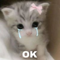 Ronyy (@renadpagee) 's Twitter Profile