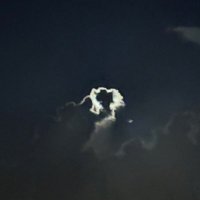 BBCTribber (@rnbwtoads) 's Twitter Profile