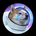 Shiba Astro (@astro_shib60484) Twitter profile photo Shiba Astro (@astro_shib60484) Twitter profile photo