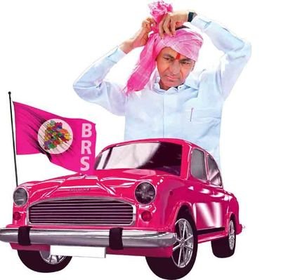 pavanku21437832's profile picture. 