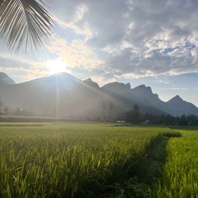 KumarVinoth1191's profile picture. 