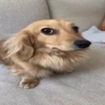 KelloJe11o's profile picture. {He/They, Artist, 20}