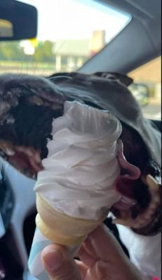 throwemaway28's profile picture. 24M just here to get my nut off ngl