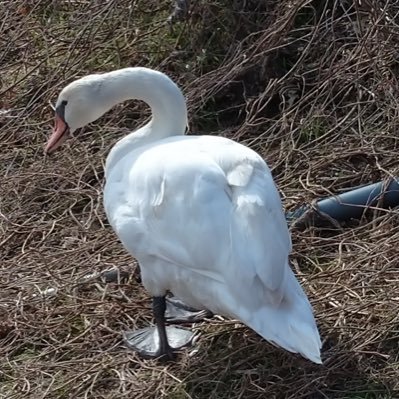 szSKEPX2K34784's profile picture. DM❌