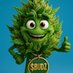 Based Budz (@basedbudz) Twitter profile photo Based Budz (@basedbudz) Twitter profile photo