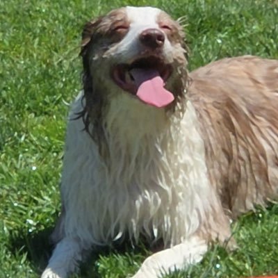 Jennife42313239's profile picture. 