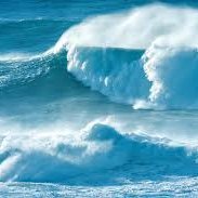 CascadiaSubd's profile picture. 