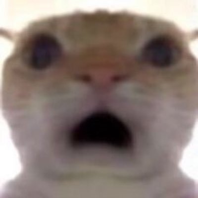 lwcoraline's profile picture. 