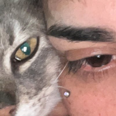 lautyboi's profile image