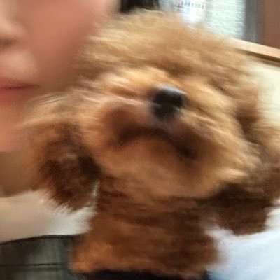 DoukutuY30763's profile picture. live in Kyoto city