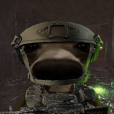 SsquibUk's profile picture. 