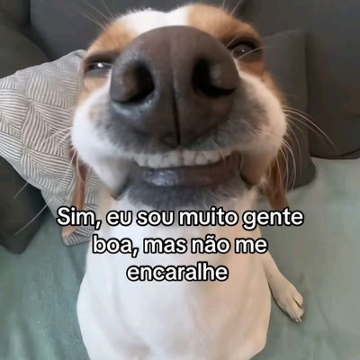 não leve a sério nada que eu fale aqui, amanhã posso mudar de ideia.