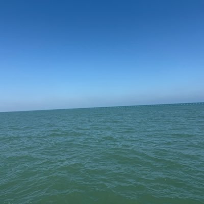 DASAT111's profile picture. 记录自己的身体和精神状态