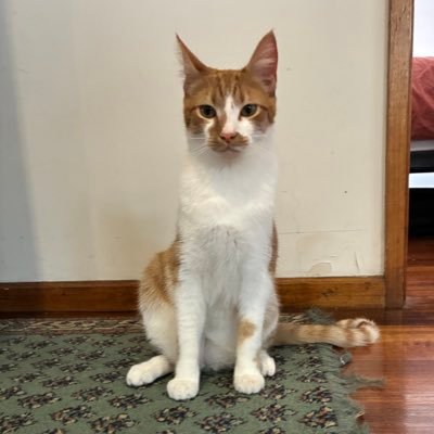 dexterrrrr Profile