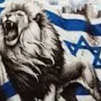 Ariel Peretz (@ariel172_) 's Twitter Profile