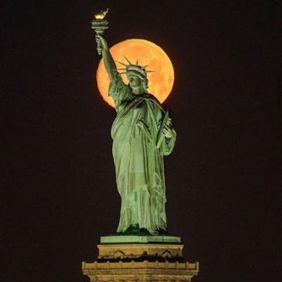 SHALOM457730438's profile picture. 