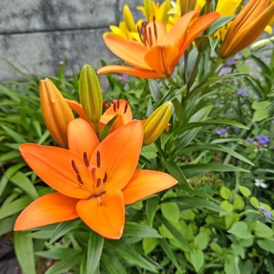 Ej83PZQRZI56622's profile picture. こんにちは、最近やっと、Xにむきあえるようになりました。
家庭連合の一世でーす。
