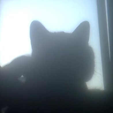 _loverot's profile picture. - My Love. For you are my Love, my one true Love. You don't need to enter, you're already there. & you don't need to be real because you already are real.