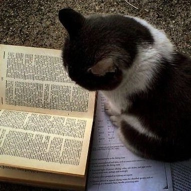 Jsybwski's profile picture. ︶︶ 🗒️ 🖍️ bio loading ..